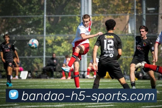 半岛体育平台生态图