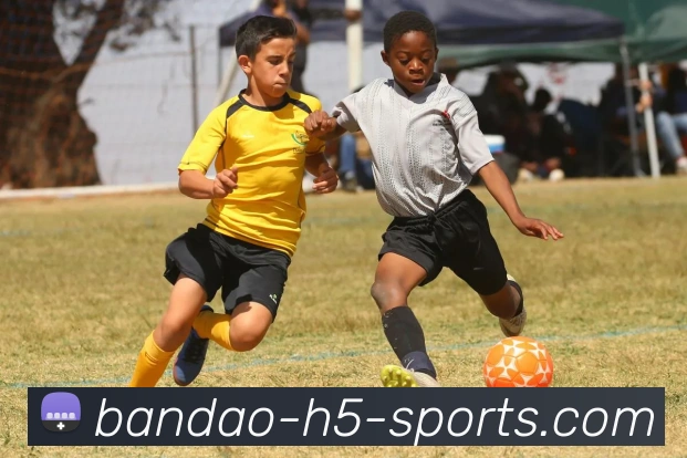 半岛体育APP 封面图